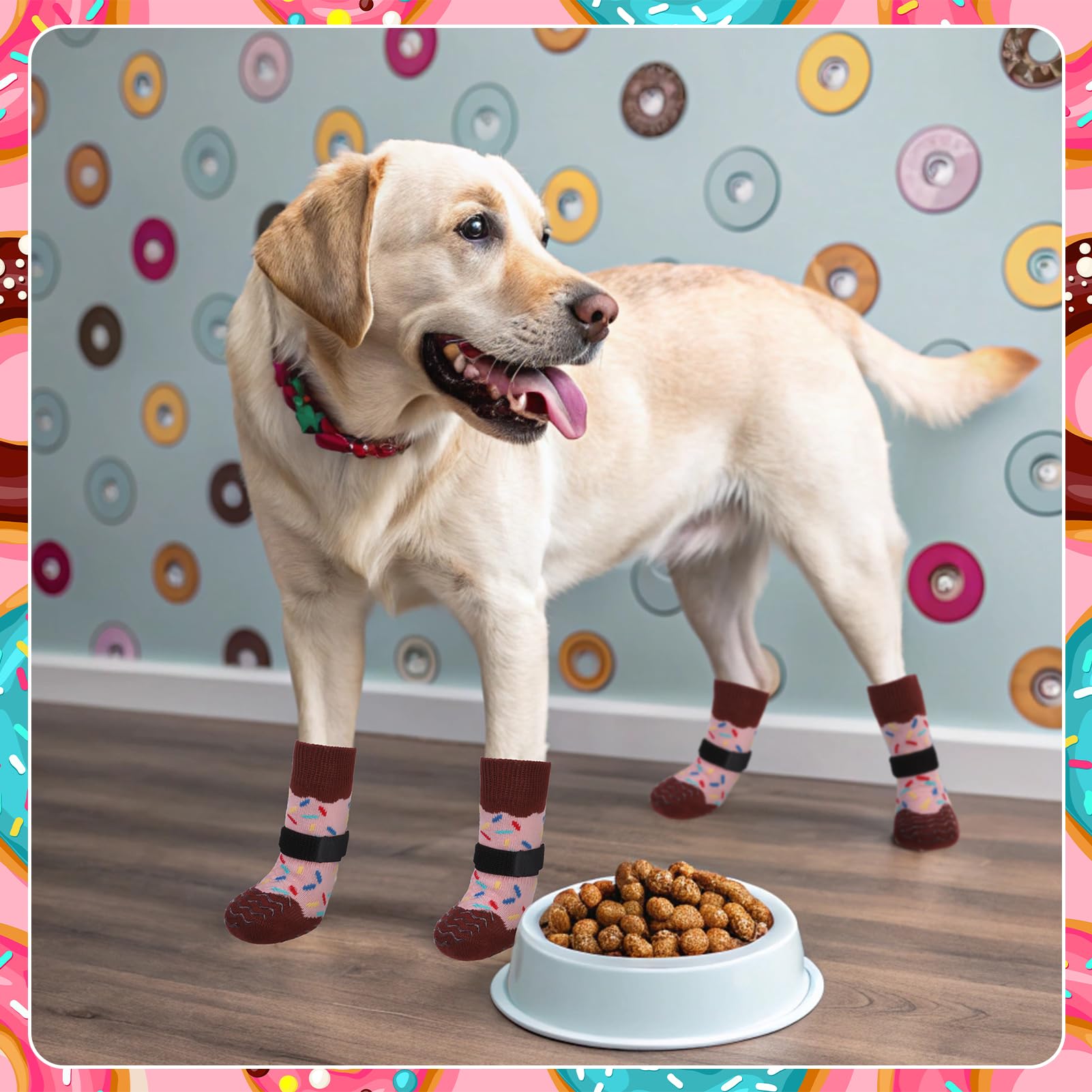 EXPAWLORER calcetines diarios que protegen patas de golpes y arañazos.