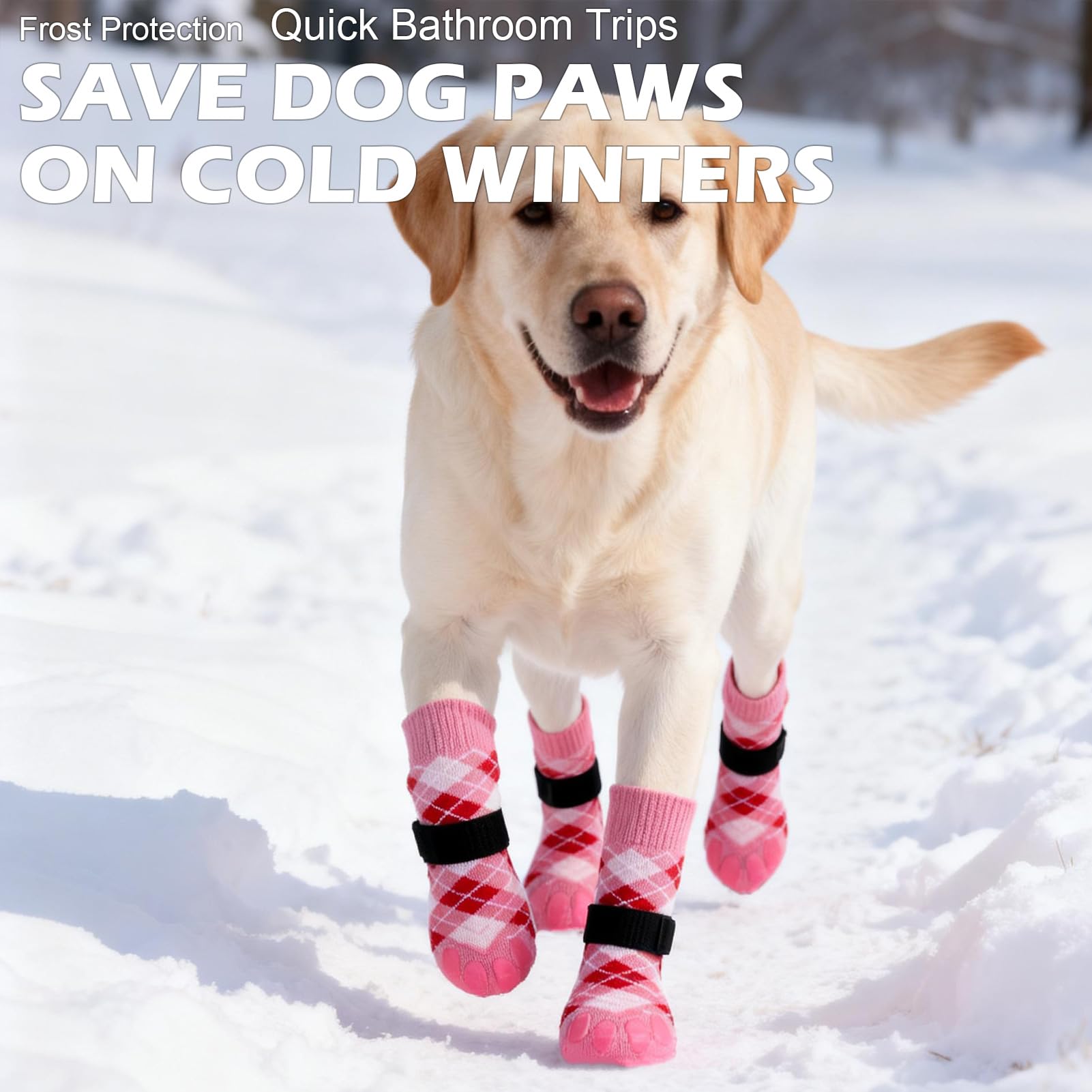 EXPAWLORER calcetines para perro correa desmontable para ajuste.