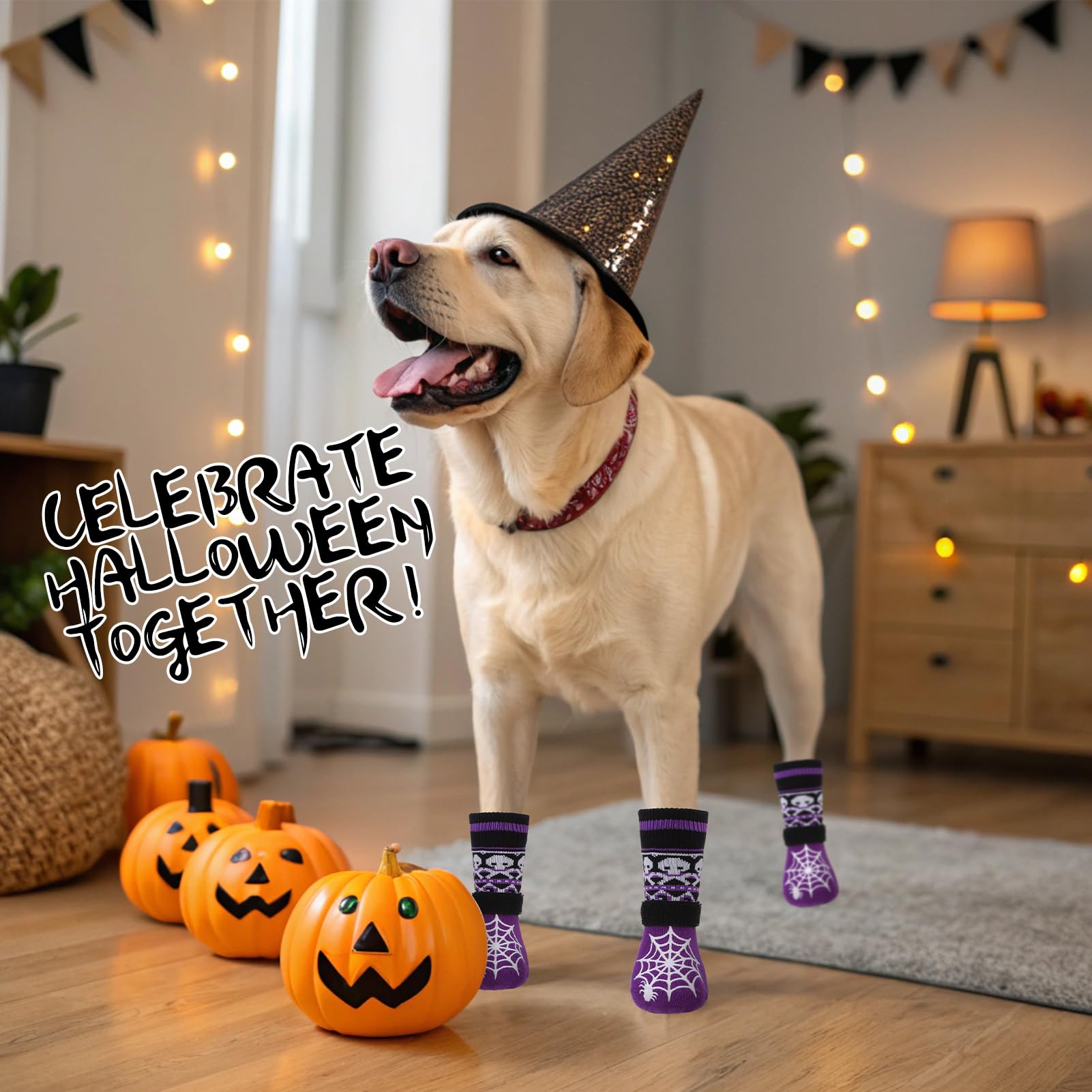 EXPAWLORER calcetines perro Noche de Brujas patitas seguras para día a día