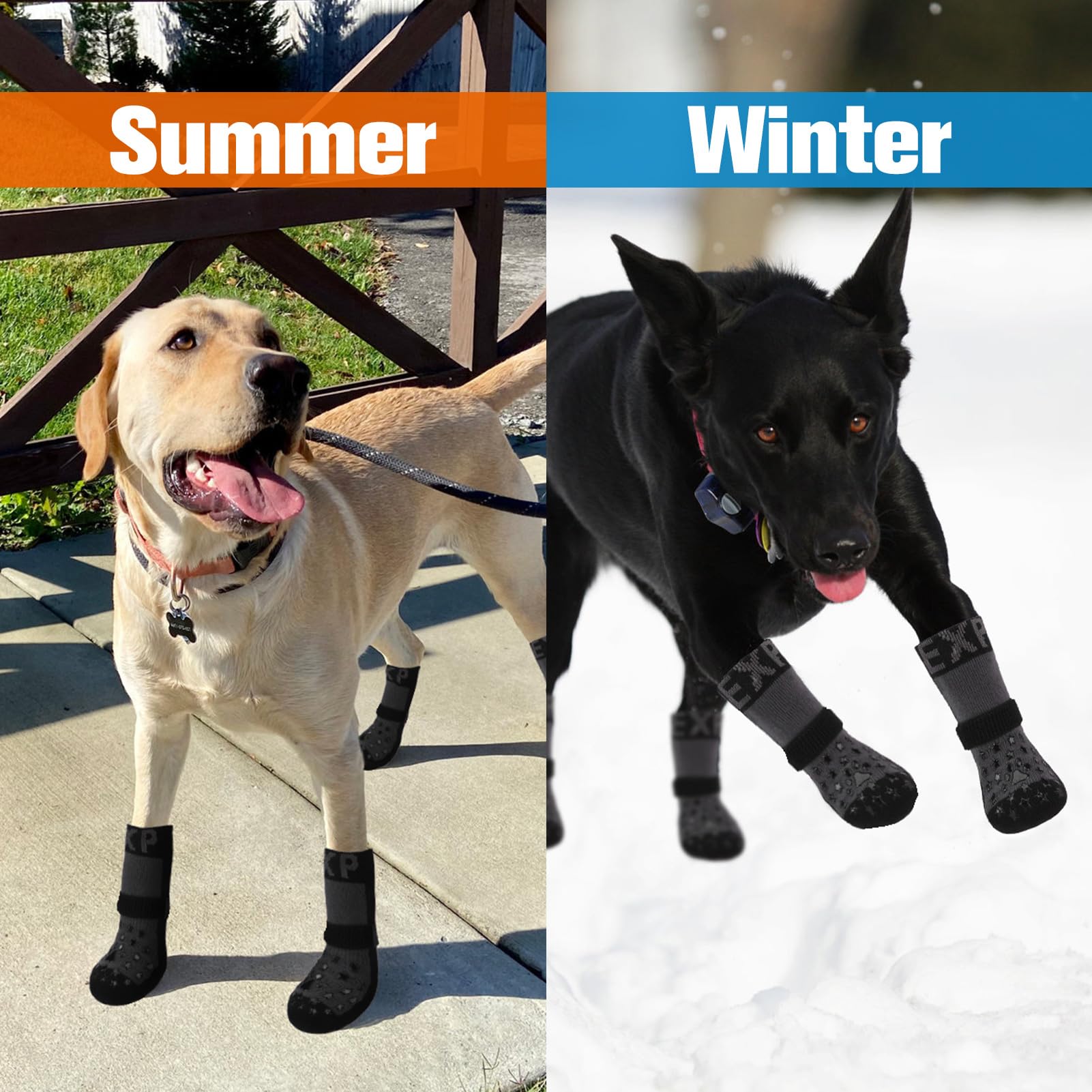 EXPAWLORER calcetines para perro guía de tallas para elegir