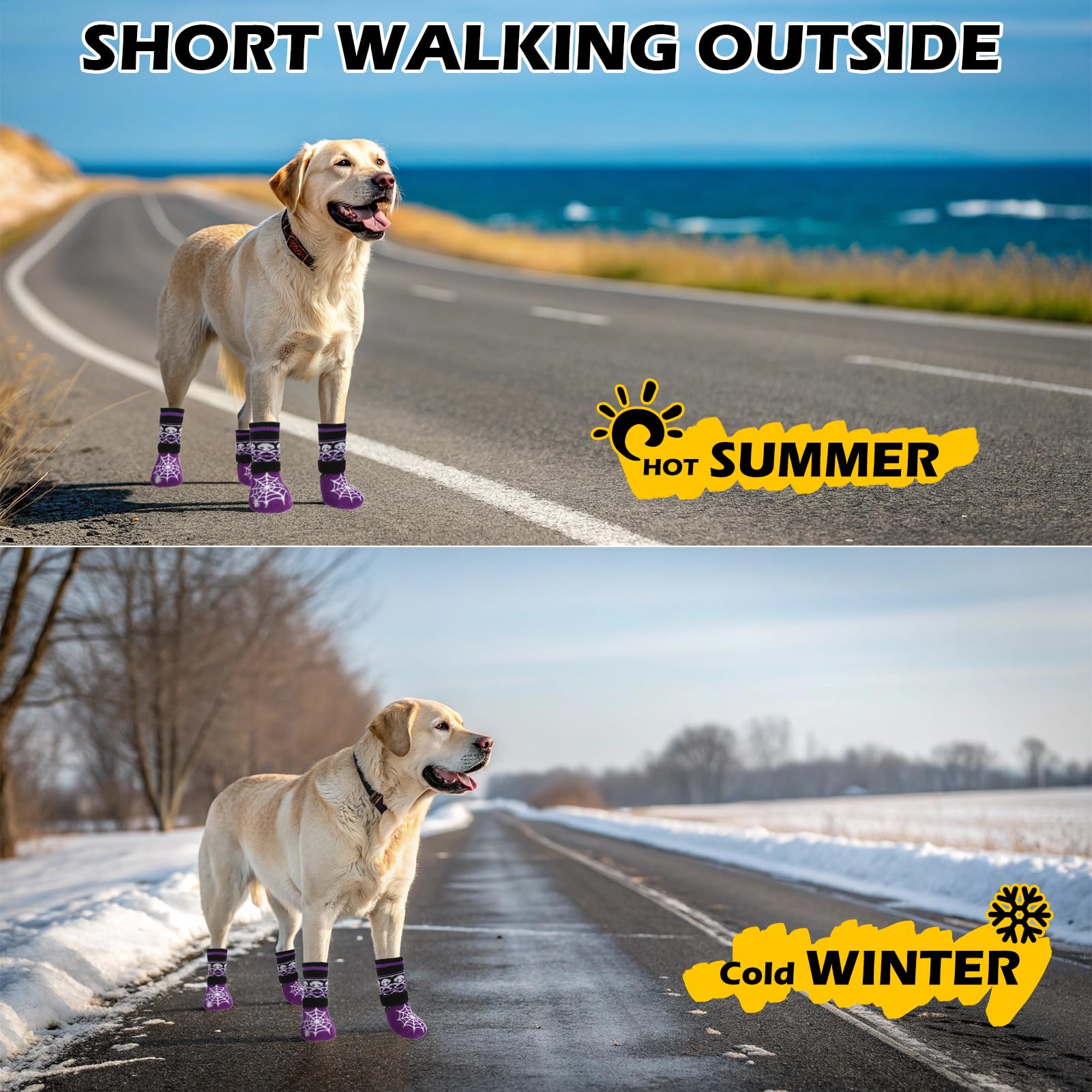 EXPAWLORER calcetines para perro tallas elásticas ajuste preciso