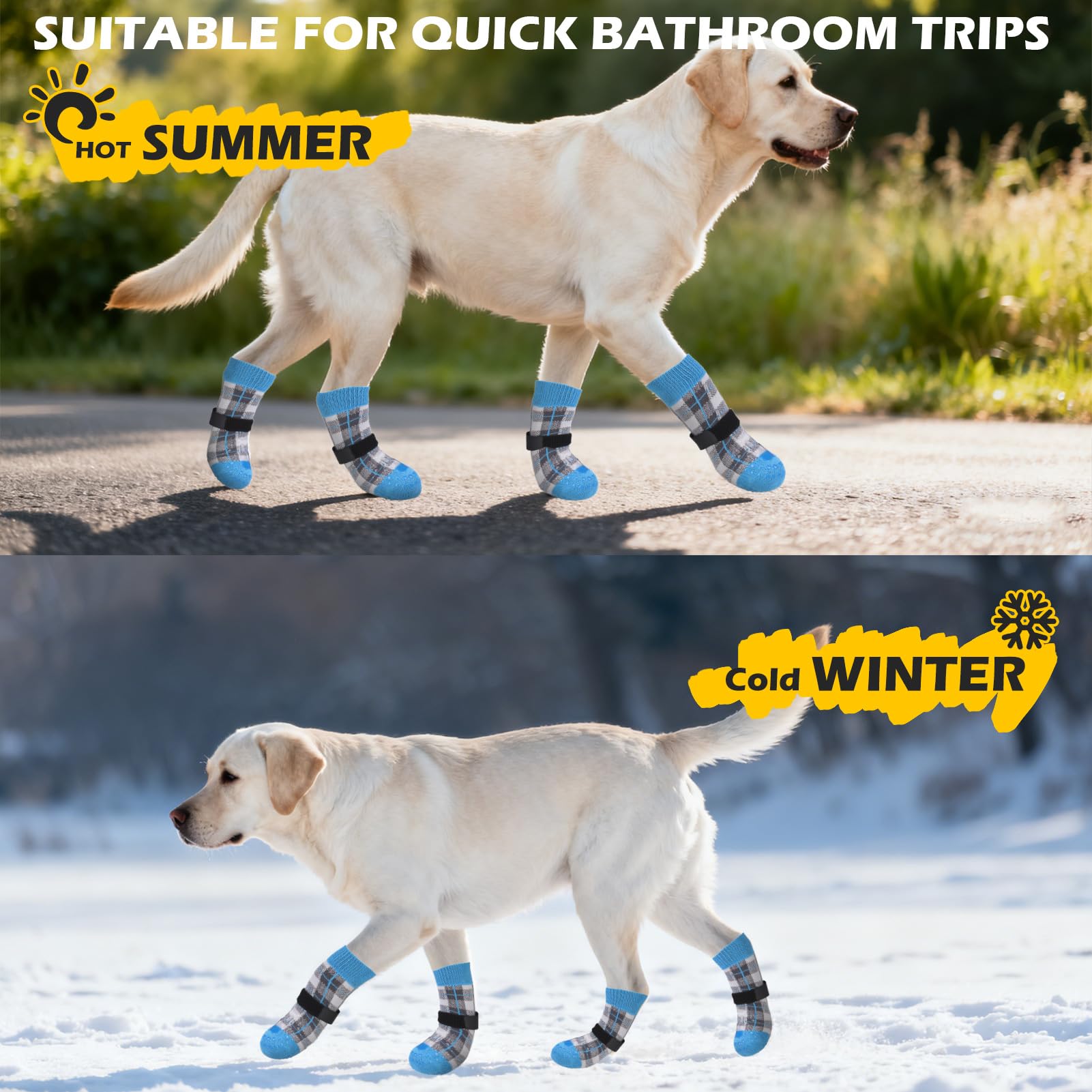 EXPAWLORER calcetines disponibles en cinco tallas y cuatro colores.