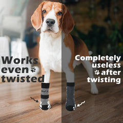 Calcetines EXPawlorer transpirables para perros, manteniendo patas cálidas en invierno.