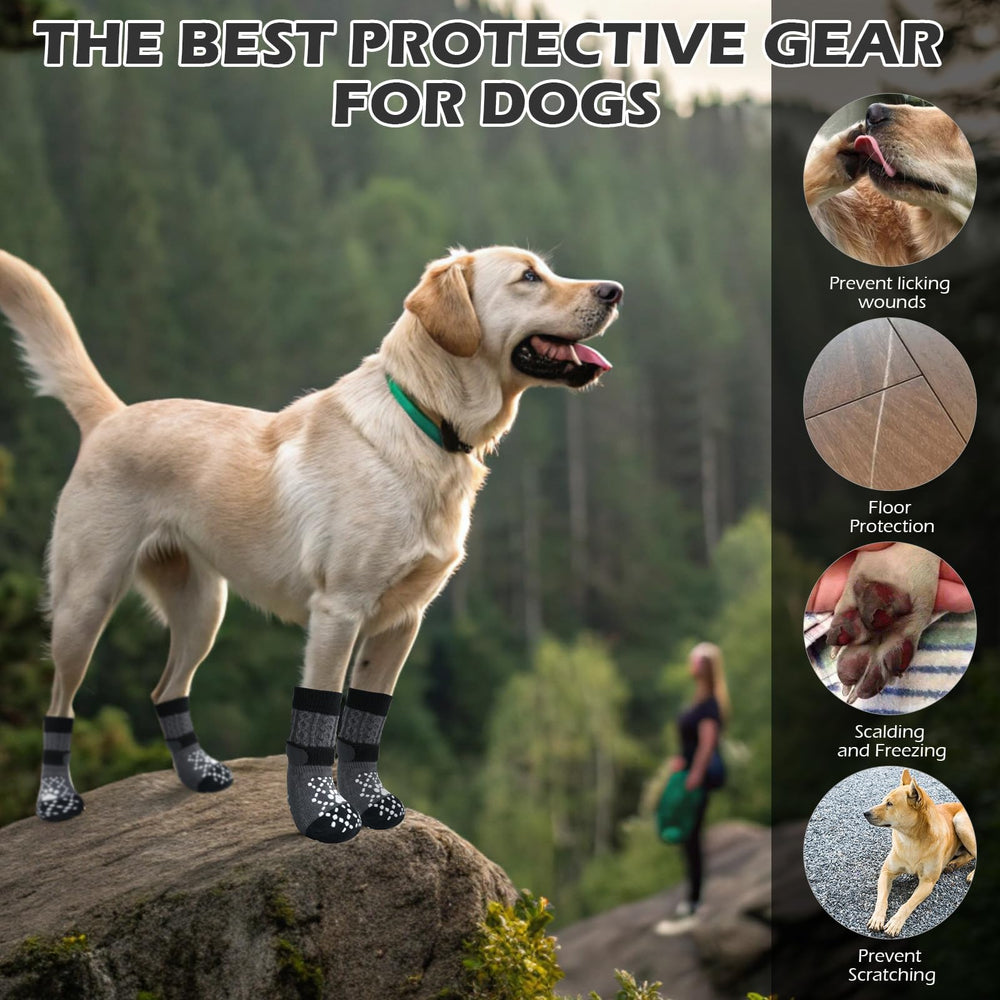 EXPAWLORER calcetines perros, colores variados para todos los estilos