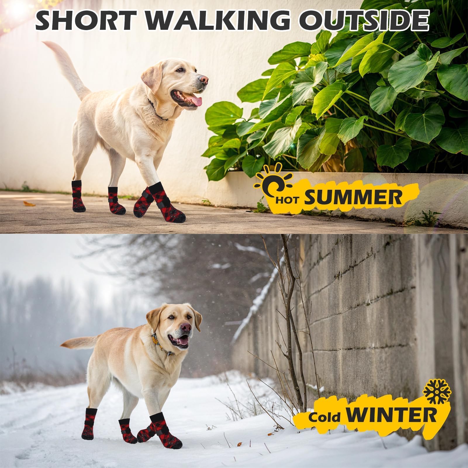 Expawlorer calcetines diseño seguro para perros activos