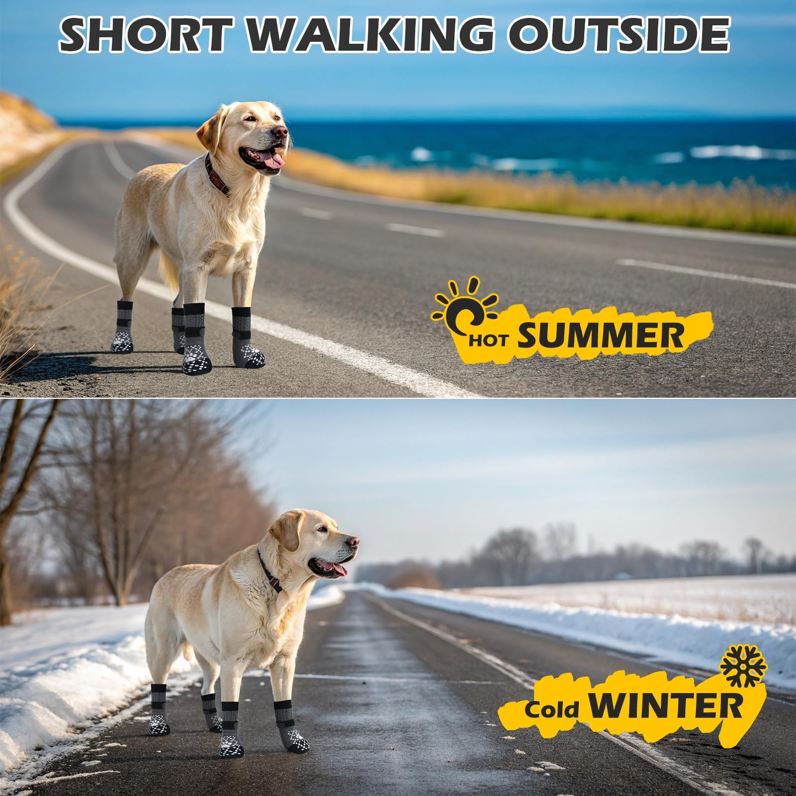 EXPAWLORER calcetines perros, ideales para pavimento caliente en verano