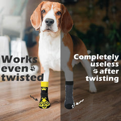 EXPAWLORER calcetines brindan tracción en pavimentos de madera para perros.