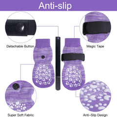 EXPAWLORER calzado de patas para perros en suelos de madera.