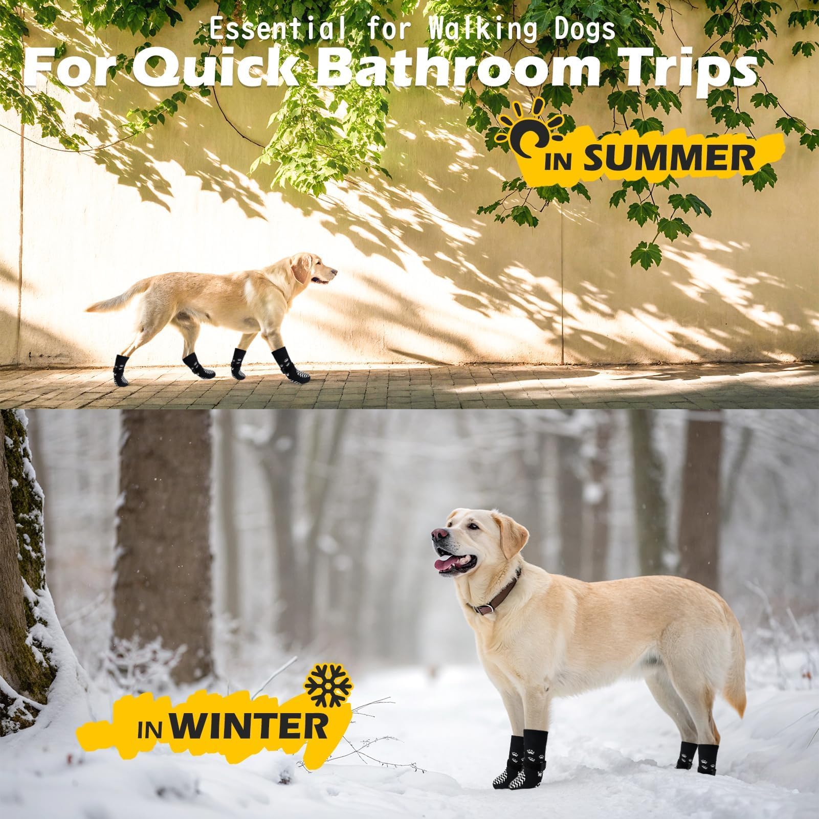 EXPAWLORER calzado para uso interior y exterior