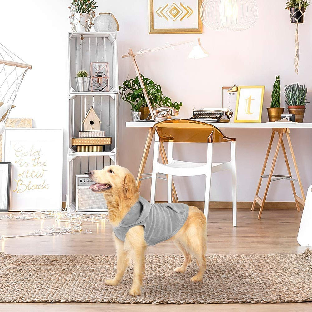 EXPAWLORER chaleco para salidas invernales, ideal para caminatas cotidianas.
