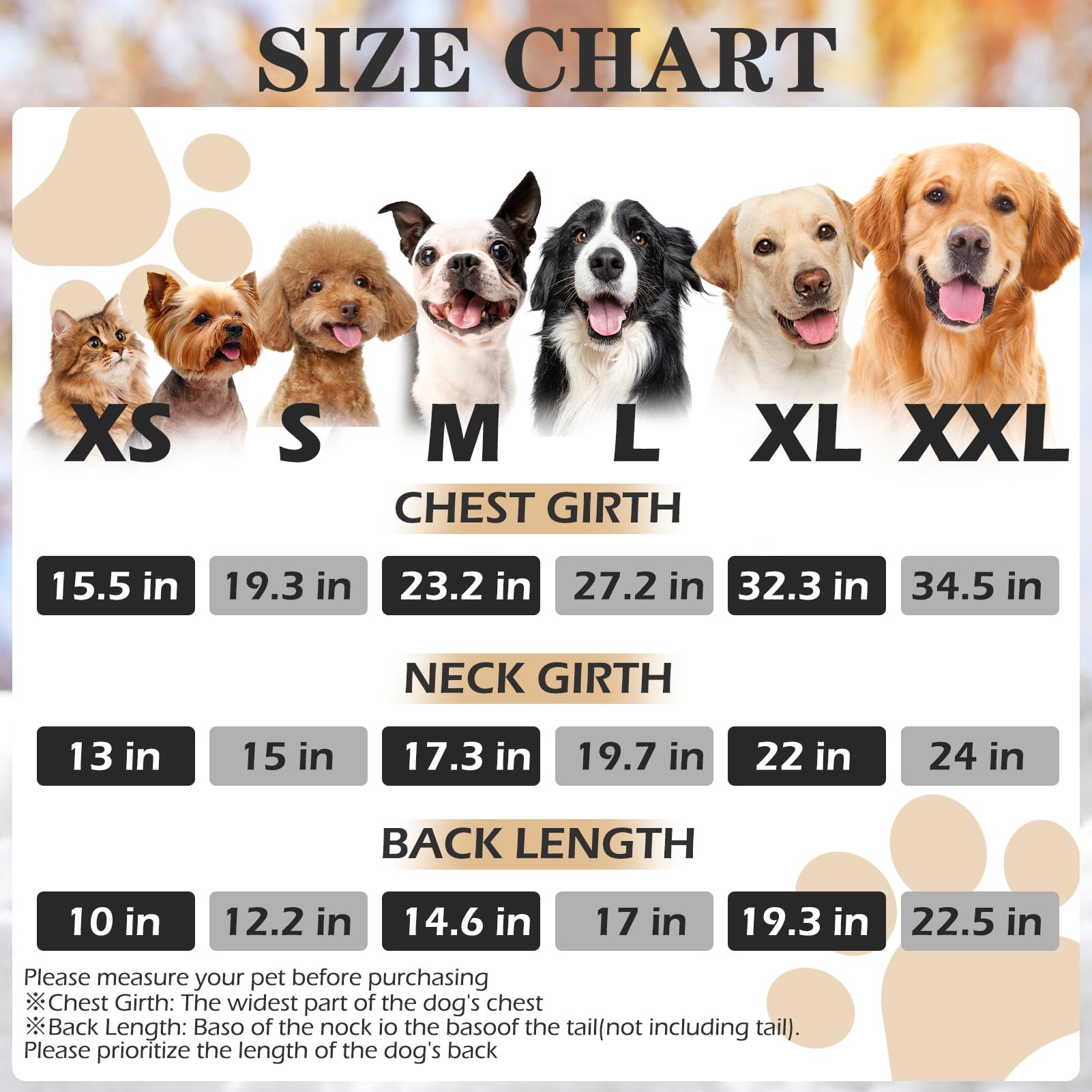EXPAWLORER chaleco perro texturizado espalda, aspecto moderno para paseos diarios.