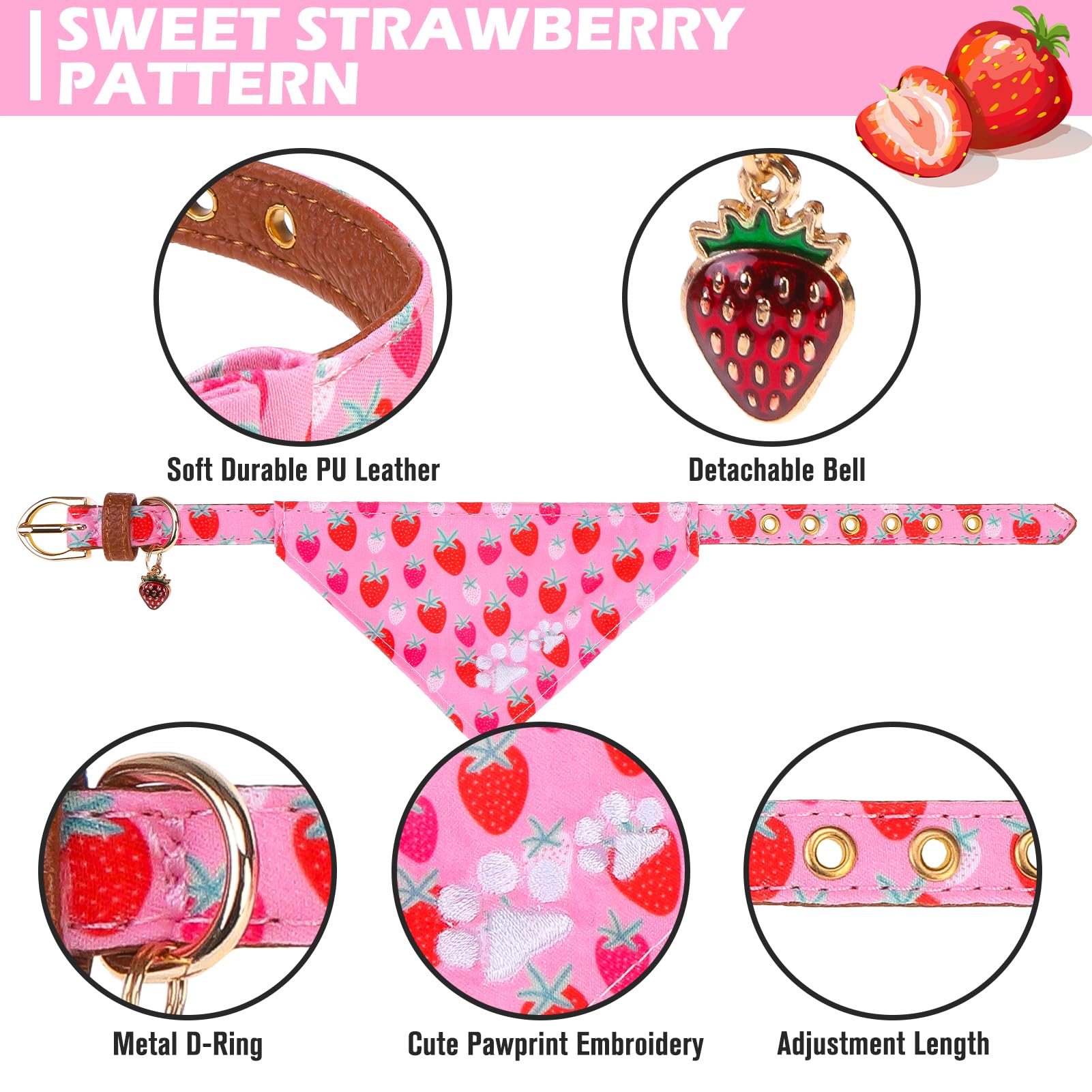 EXPAWLORER collar ajustable 9.4-11.8 pulgadas para mascotas pequeñas
