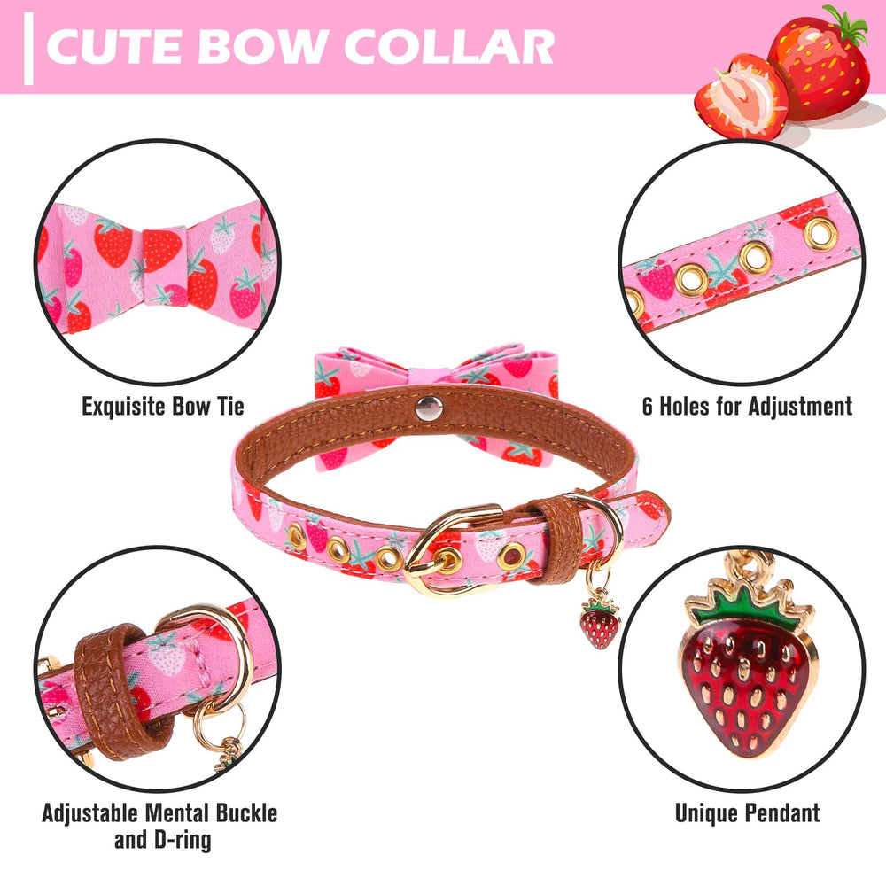 EXPAWLORER collar con campana añade encanto sutil