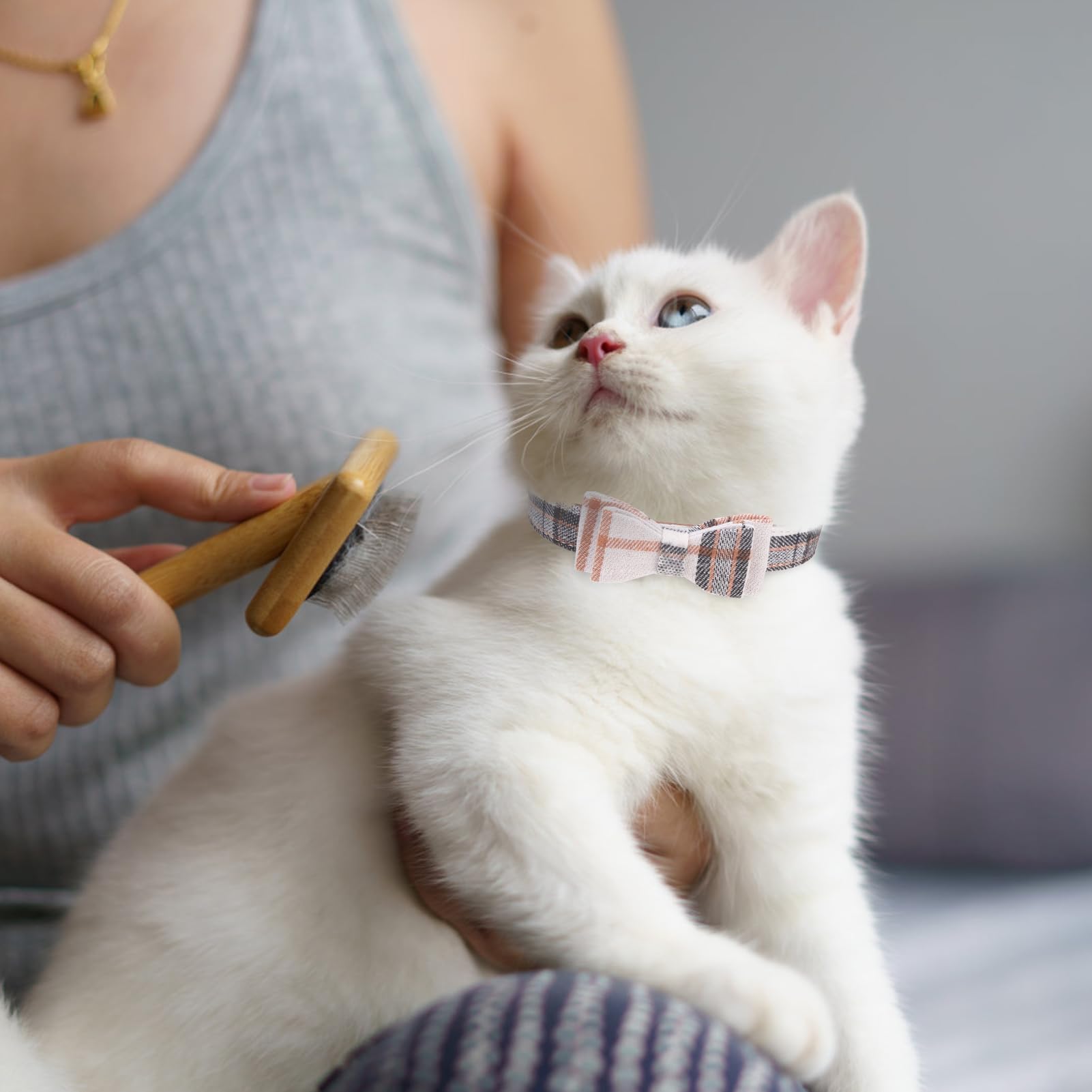 EXPAWLORER collar de diseño clásico a cuadros para uso diario.