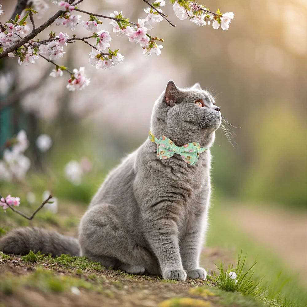 EXPAWLORER collar gato colgante abeja añade encanto único