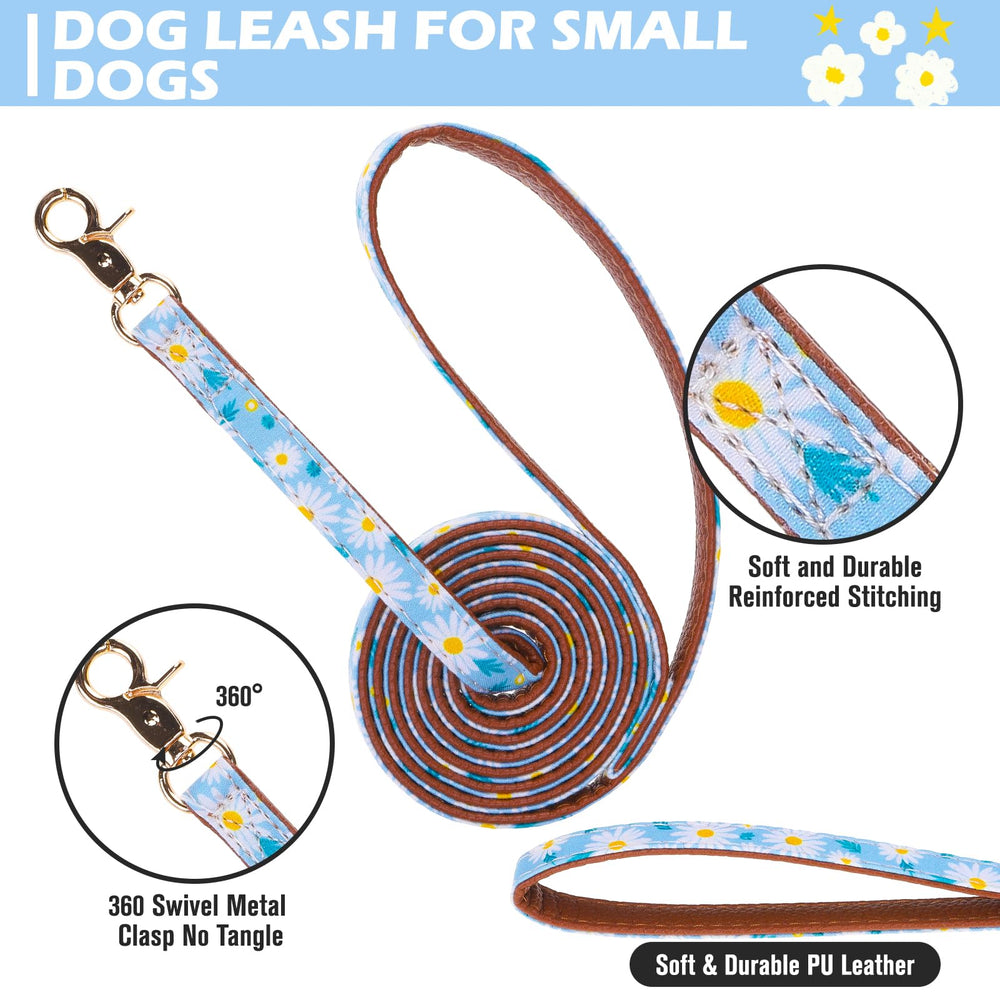 EXPAWLORER collar con lazo, opción versátil para combinar outfits