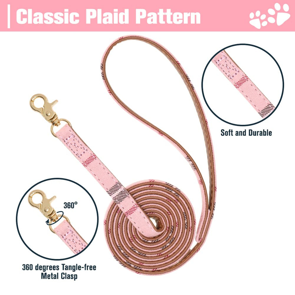 EXPAWLORER collar perro ajustable 9-11,5 pulgadas, ajuste cómodo para diferentes cuellos.