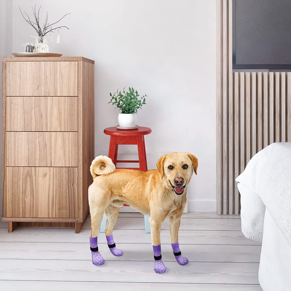 EXPAWLORER conjunto de seis calcetines y seis correas listos para usar.