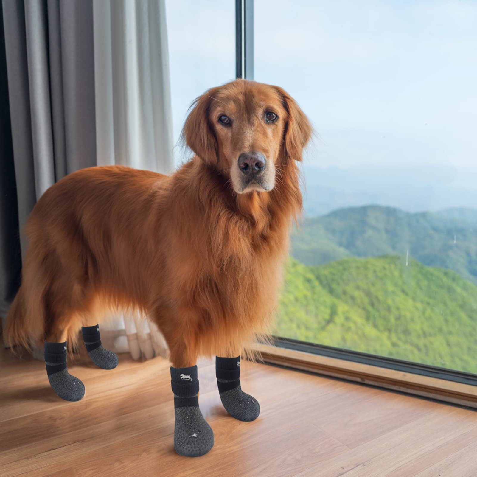 EXPAWLORER conjunto de seis medias para protección continua de patas.