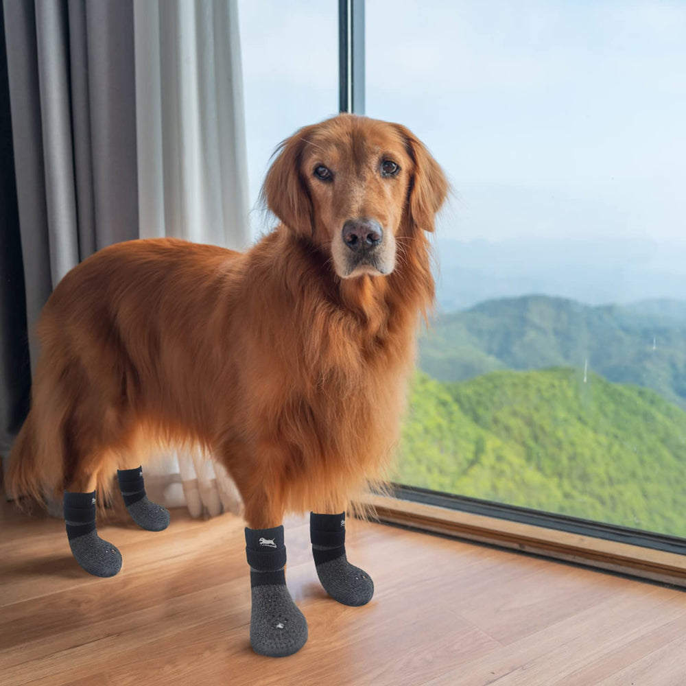 EXPAWLORER conjunto de seis medias para protección continua de patas.