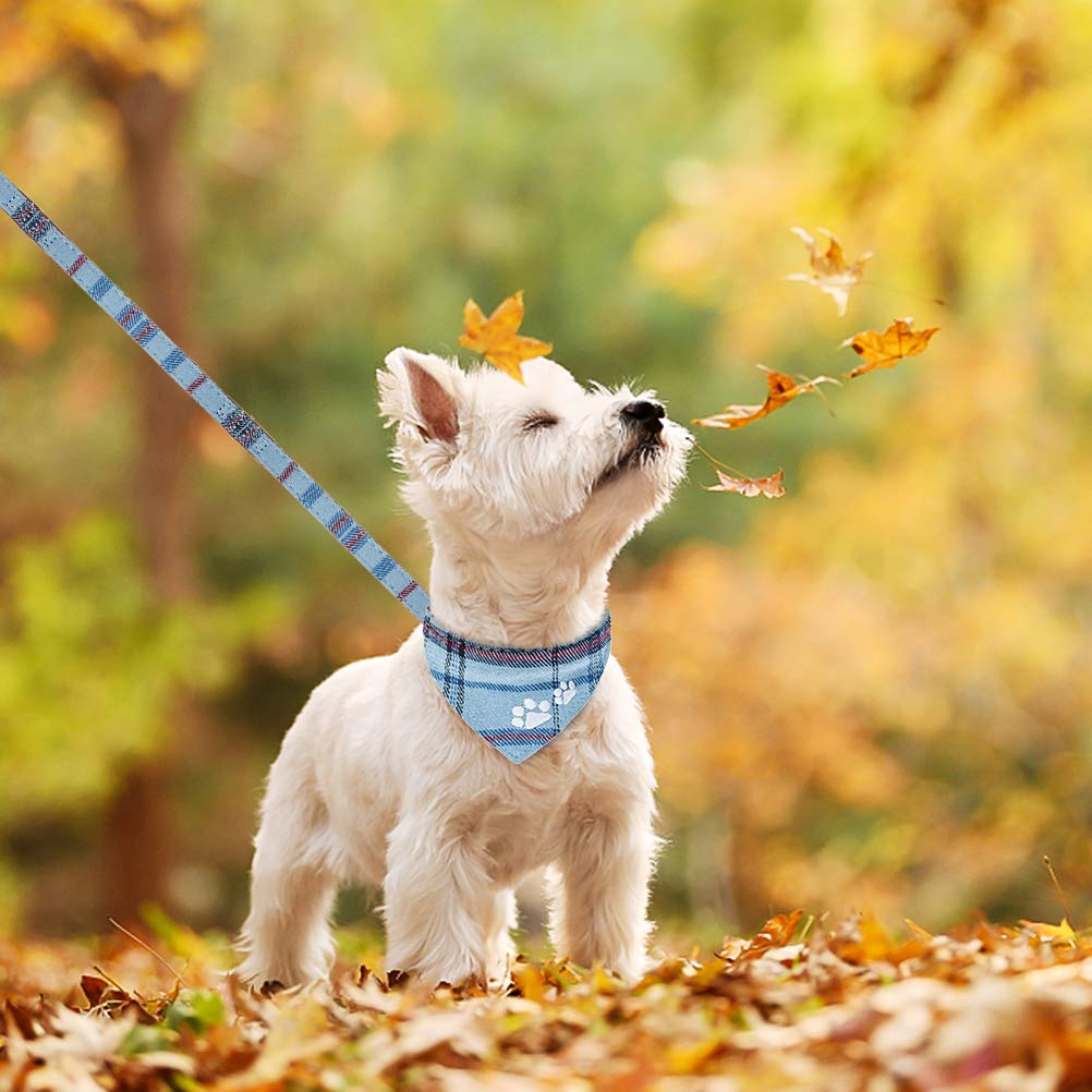EXPAWLORER correa exterior para paseos al aire libre.
