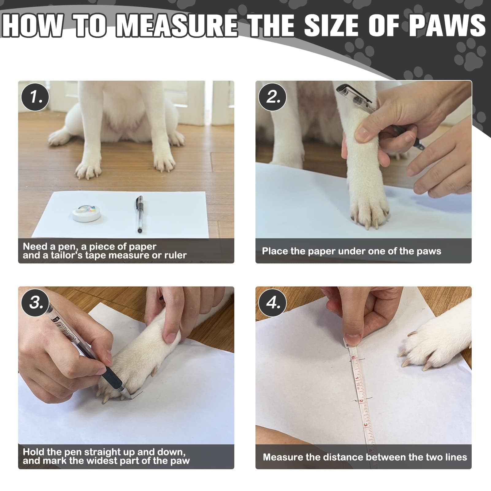 EXPAWLORER correas desmontables para ajuste personalizado en patitas.