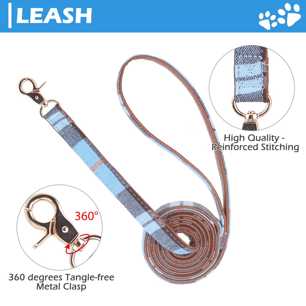 EXPAWLORER detalle de hebilla de metal en collar ajustable