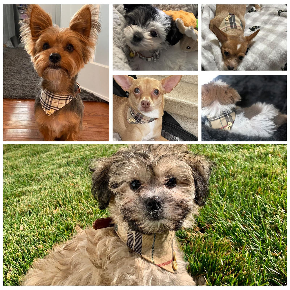 EXPAWLORER diseño clásico plaid beige para paseos diarios