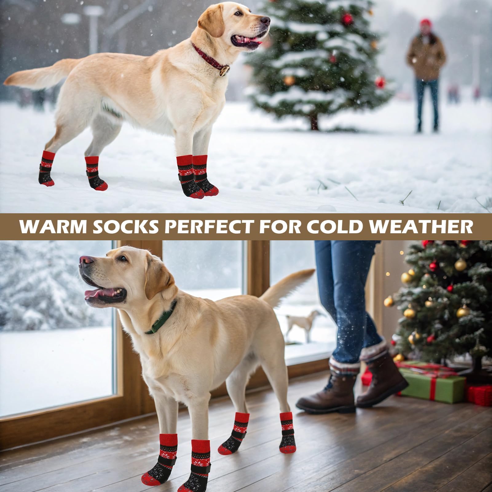 Diseño festivo EXPAWLORER en calcetines para perros