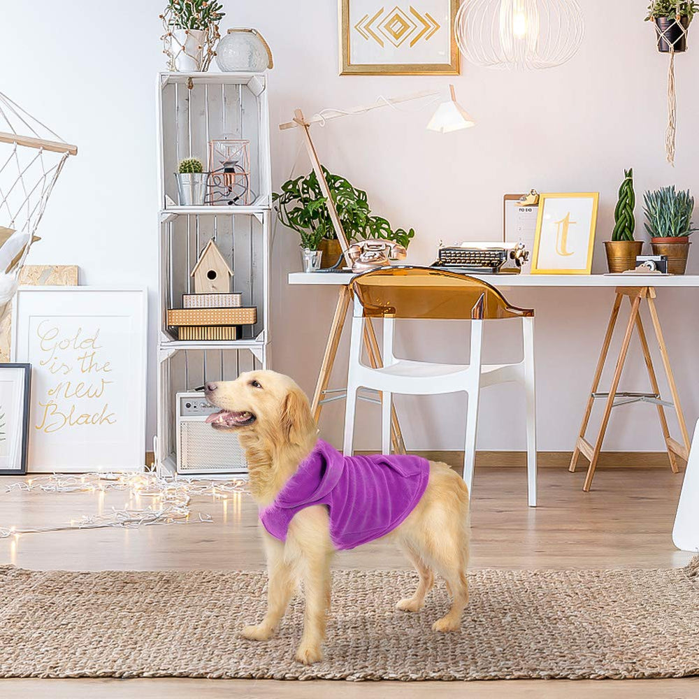 EXPAWLORER suéter con capucha para perros, color morado, diseño cálido para invierno