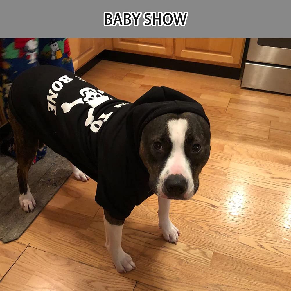EXPAWLORER talla L: ajuste cómodo para perros grandes.
