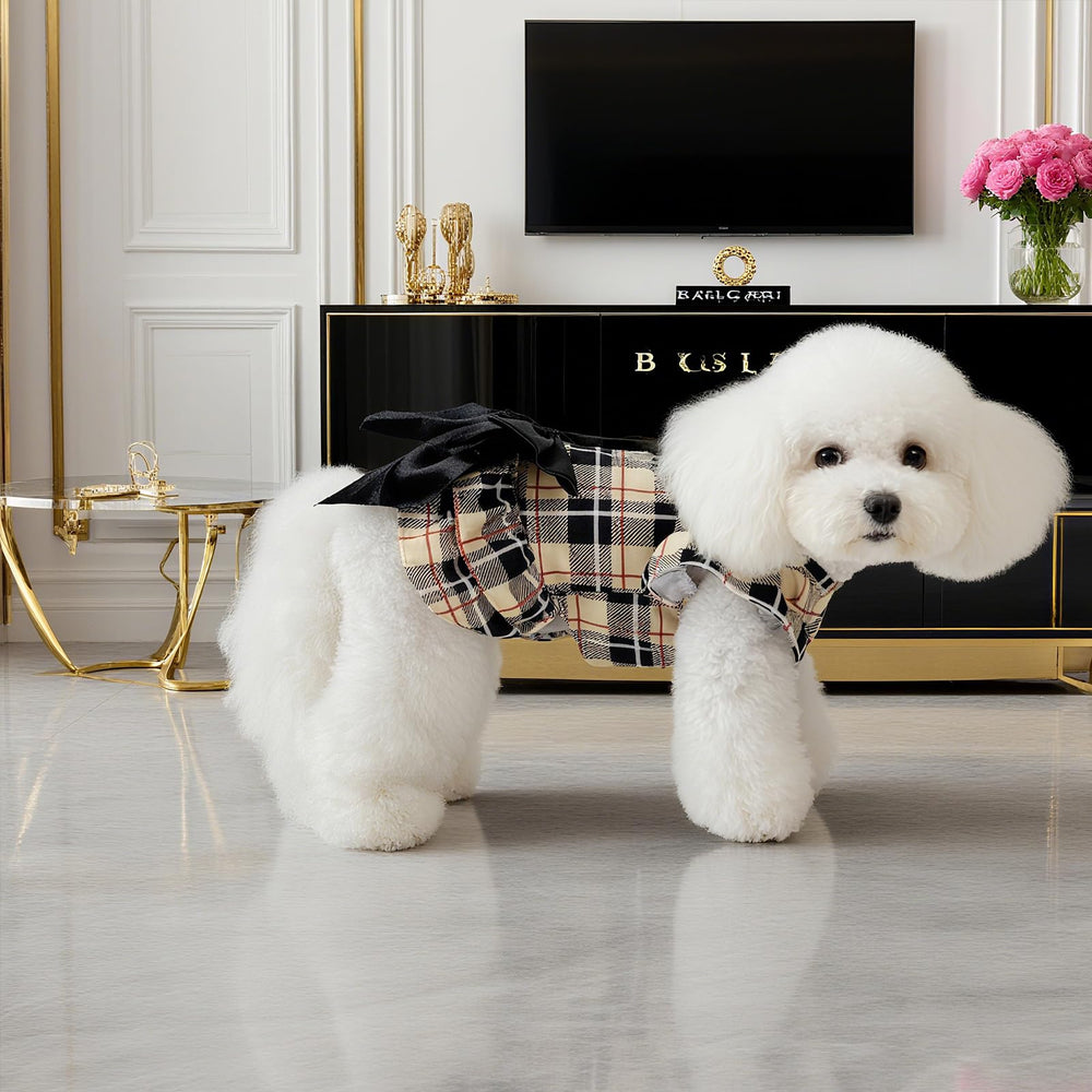EXPAWLORER outfit versátil para interiores o exteriores