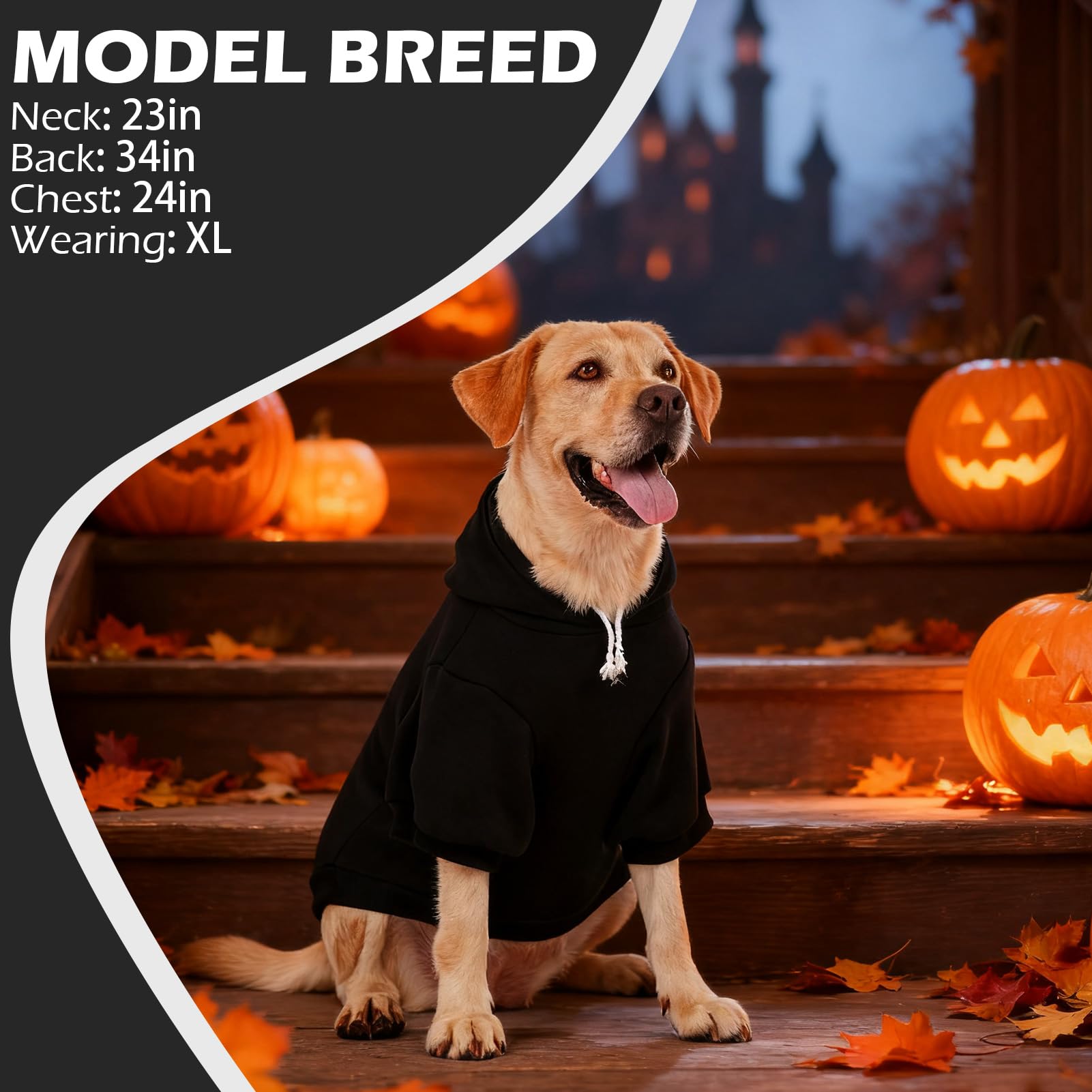EXPAWLORER hoodie para perro, uso recomendado en otoño e invierno