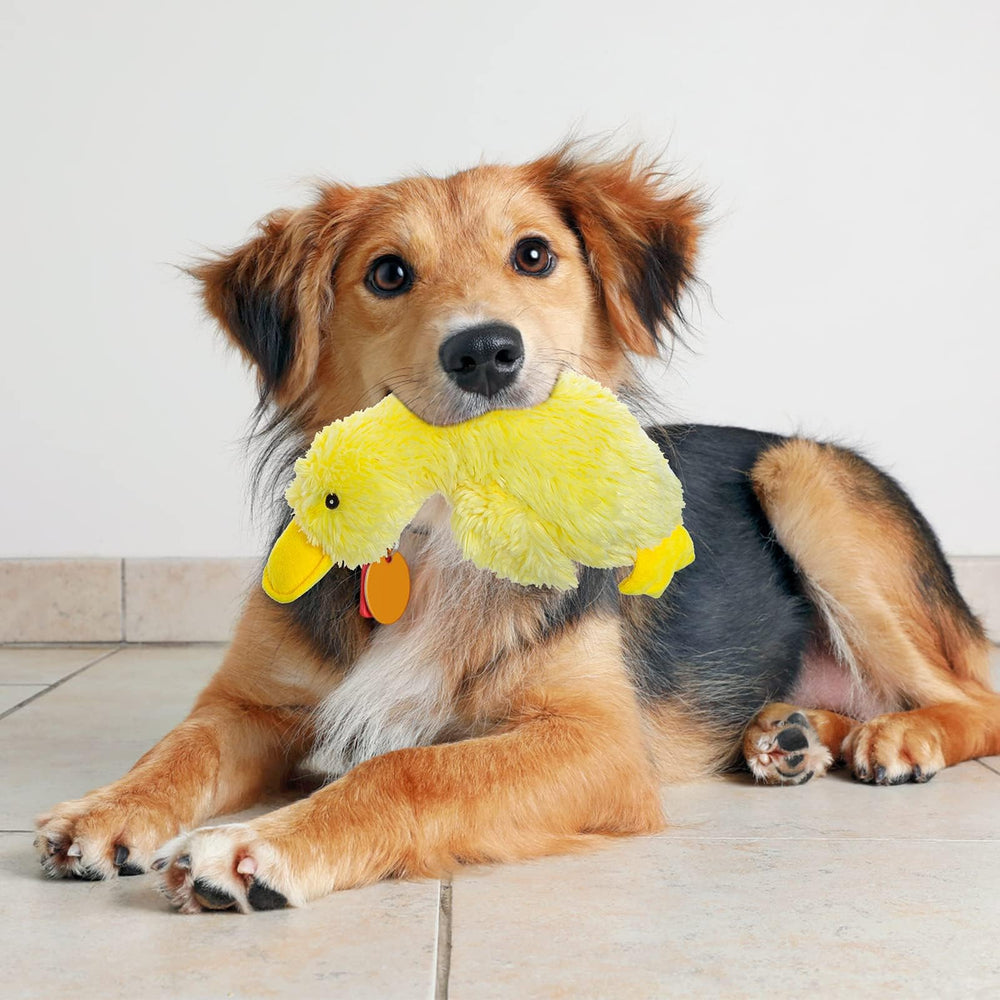 EXPAWLORER juguete diario para perros, perfecto para morder y jugar.