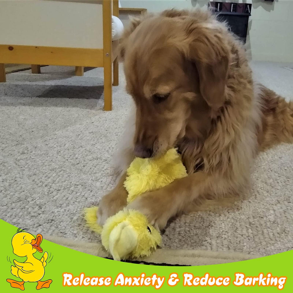 EXPAWLORER patito para ansiedad canina, ayuda a mantener la calma durante el juego.
