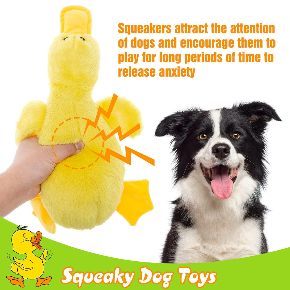 EXPAWLORER juguete interactivo para entrenamiento con patito en casa.