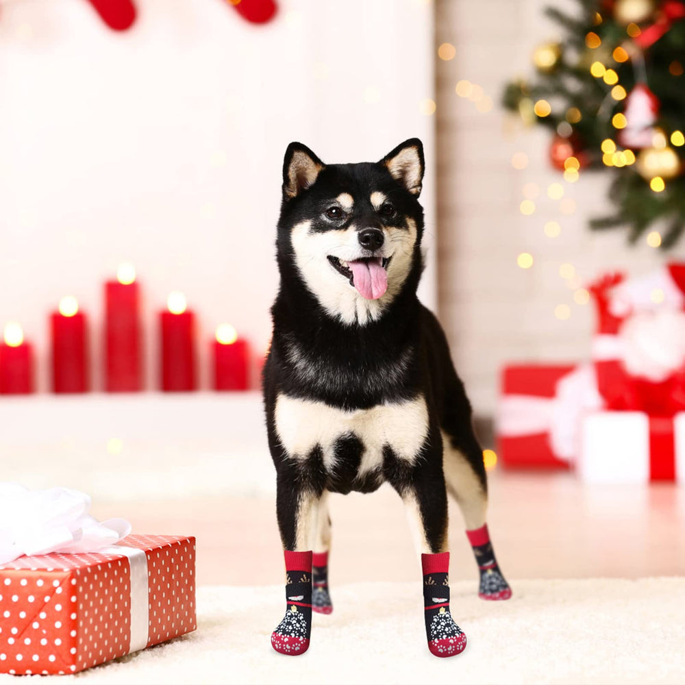 EXPAWLORER kit 6 calcetines y cintas para ajuste rápido y seguro