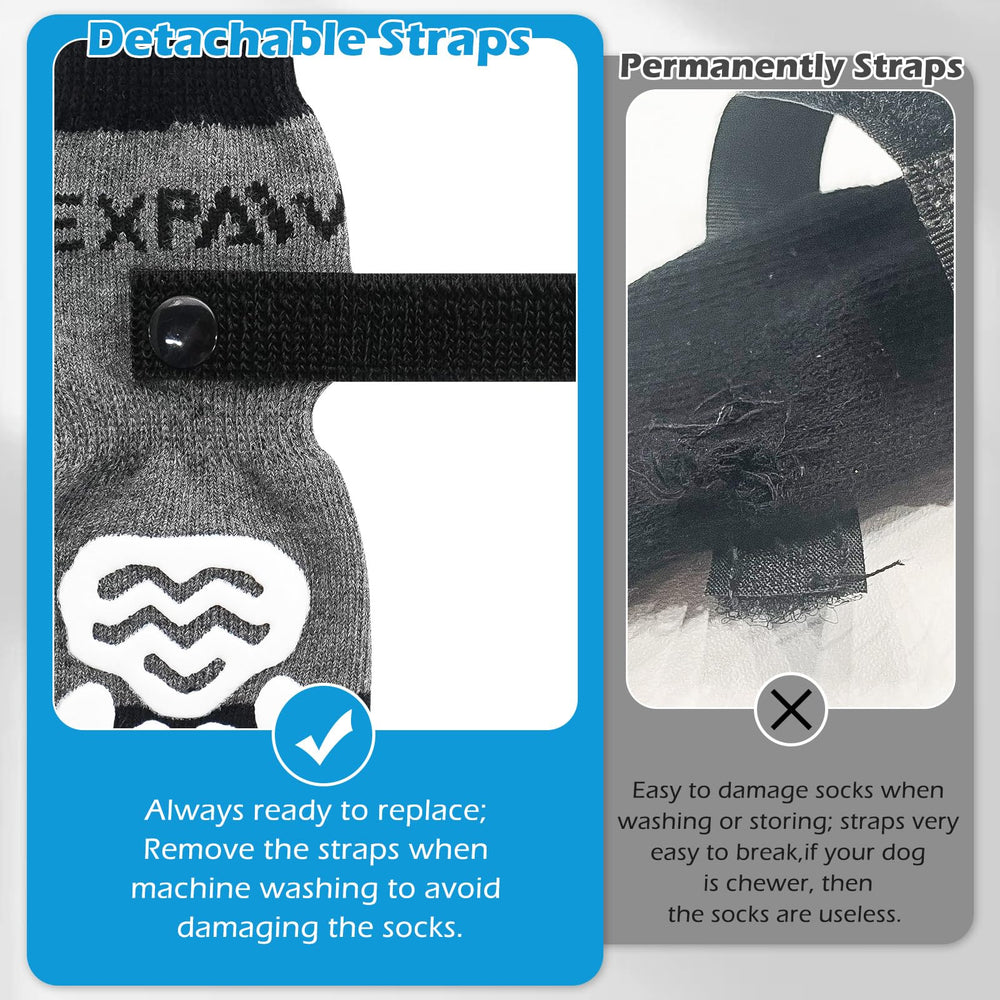 Pack seis calcetines EXPawlorer para proteger patas en casa.