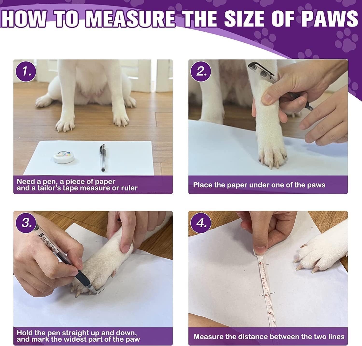 EXPAWLORER paquete de 6 calcetines para perros con correas desmontables para ajuste.