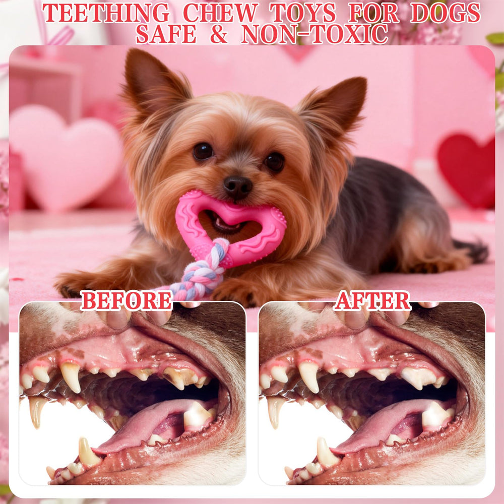 EXPAWLORER pelota para perro, ideal para lanzar y recoger.