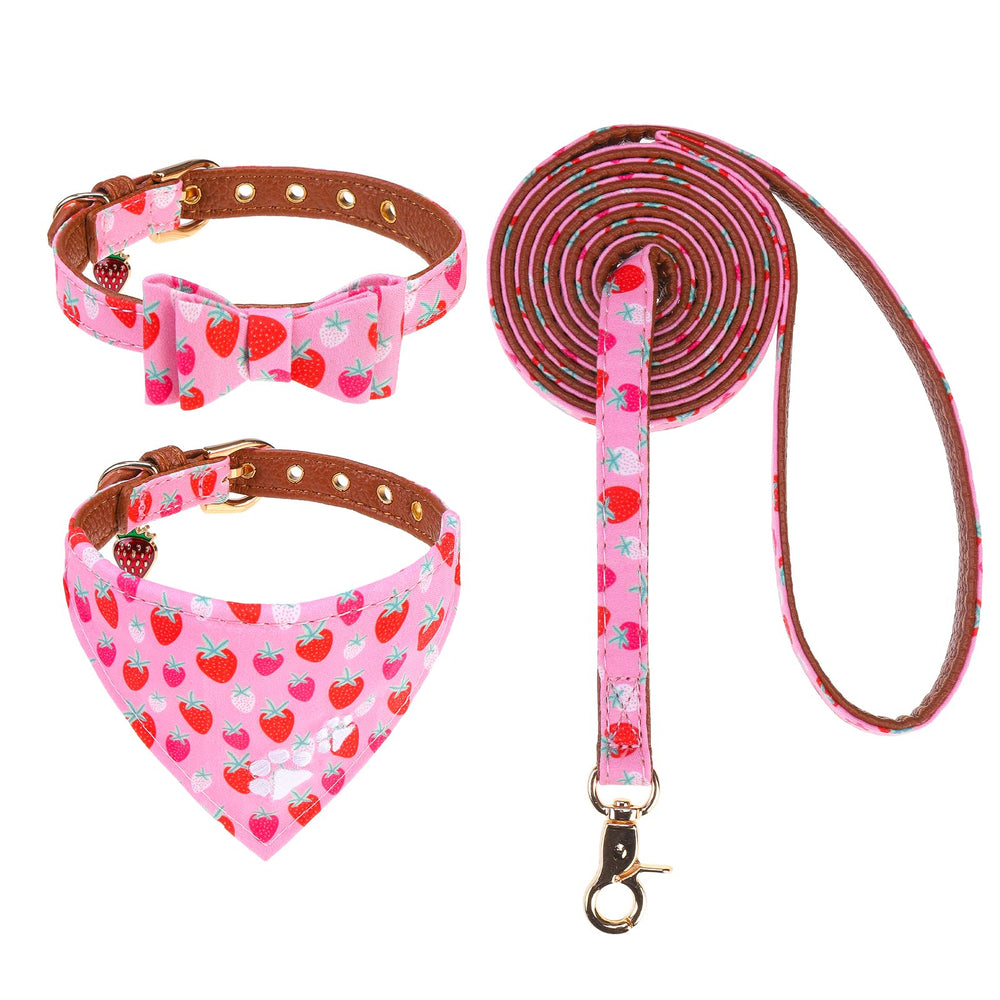 EXPAWLORER collar pequeño con lazo y patitas para paseos suaves