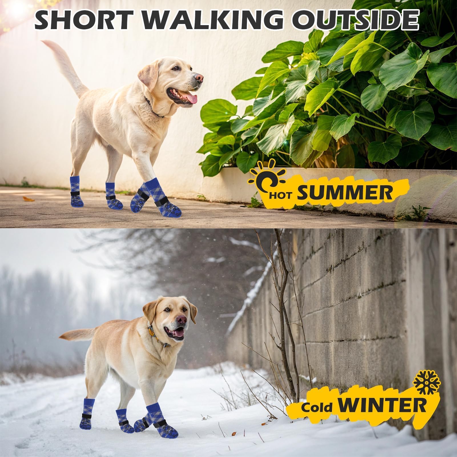 EXPAWLORER calcetines para todas las tallas, aptos para perros grandes y pequeños