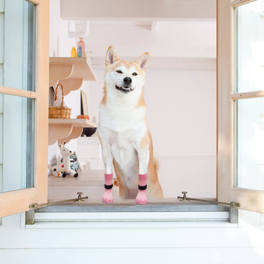 Expawlorer perro caminando sobre pavimento caliente con protección de patas.