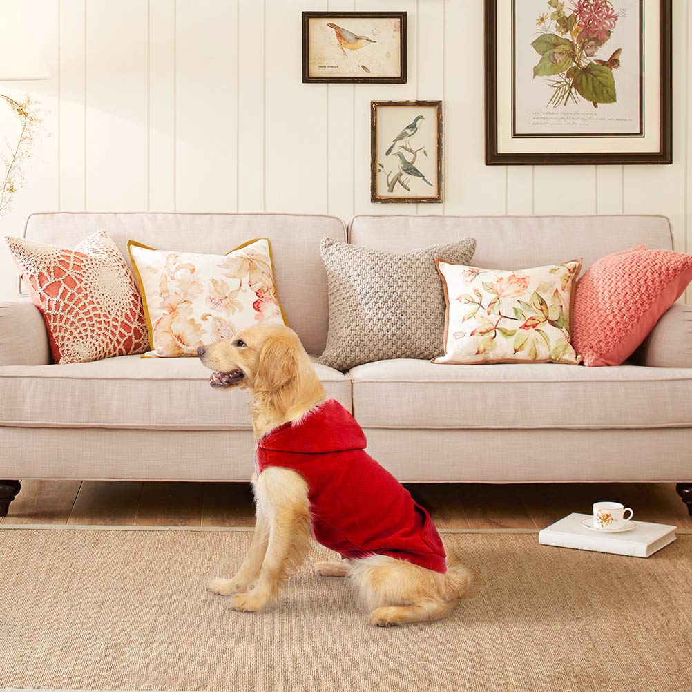 EXPAWLORER diseño con capucha y detalles funcionales para mascotas.
