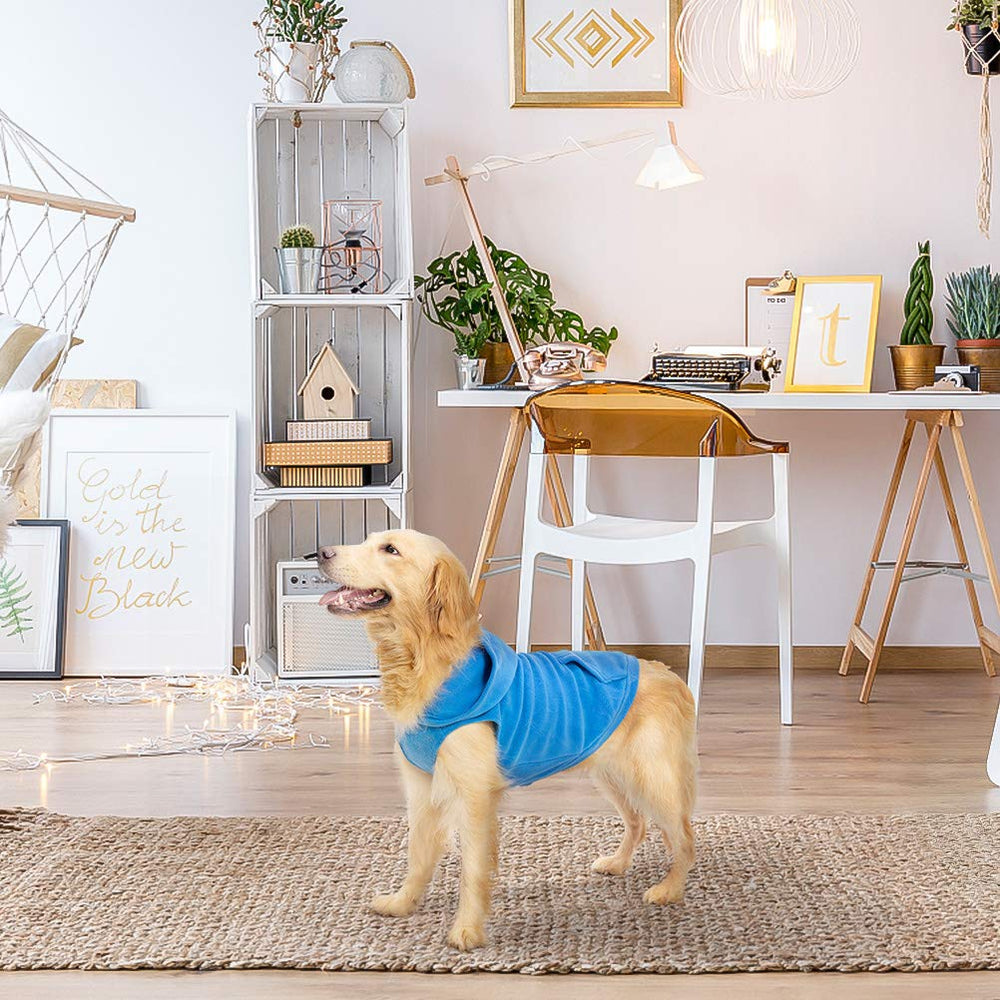 EXPAWLORER paseo al aire libre con capucha, ideal para climas fríos.