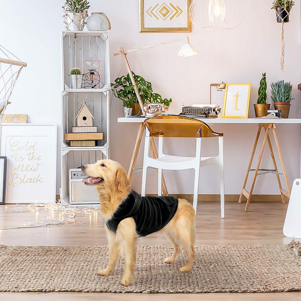 EXPAWLORER color negro, versátil para diferentes looks