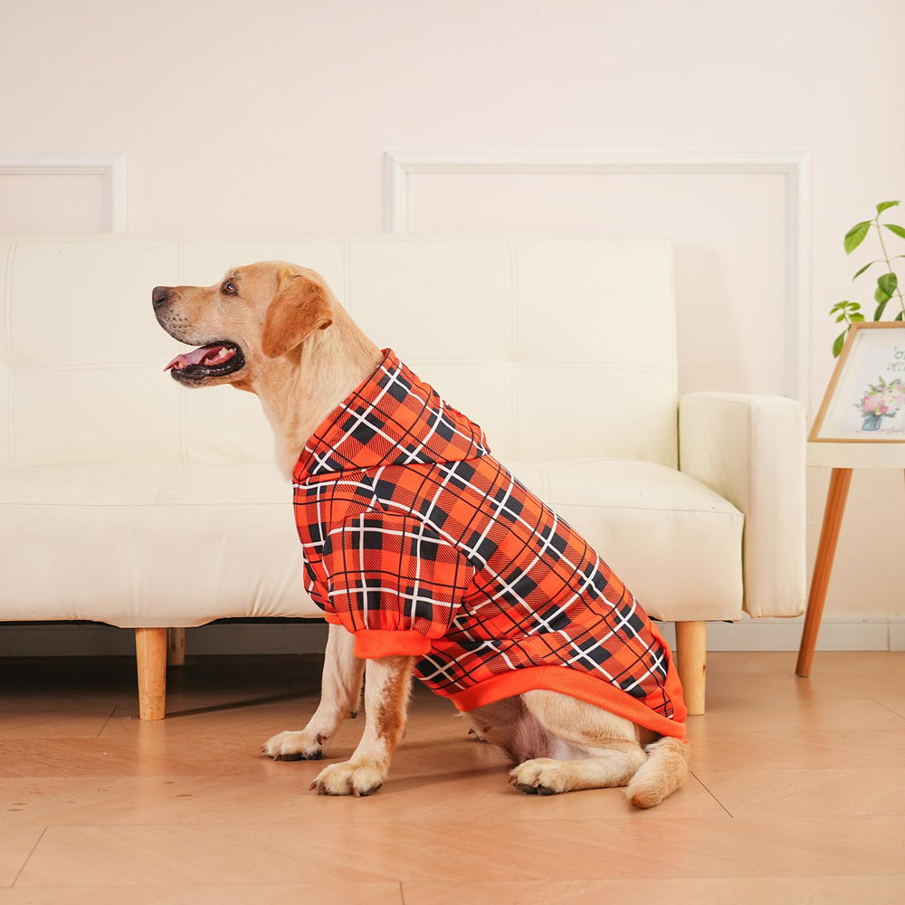 EXPAWLORER abrigo invernal naranja para perros activos al aire libre.