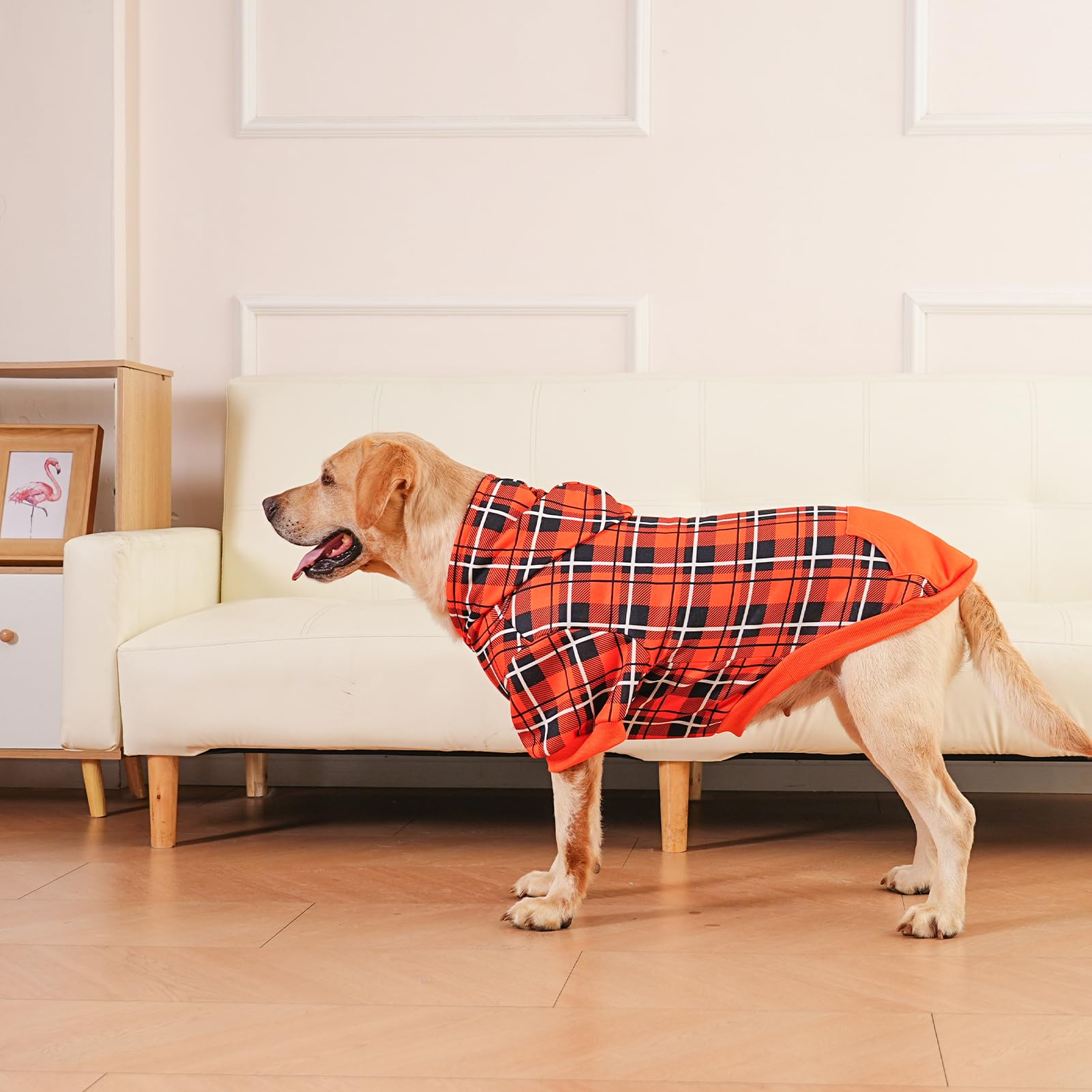 EXPAWLORER plaid hoodie lavable a máquina, fácil de cuidar.