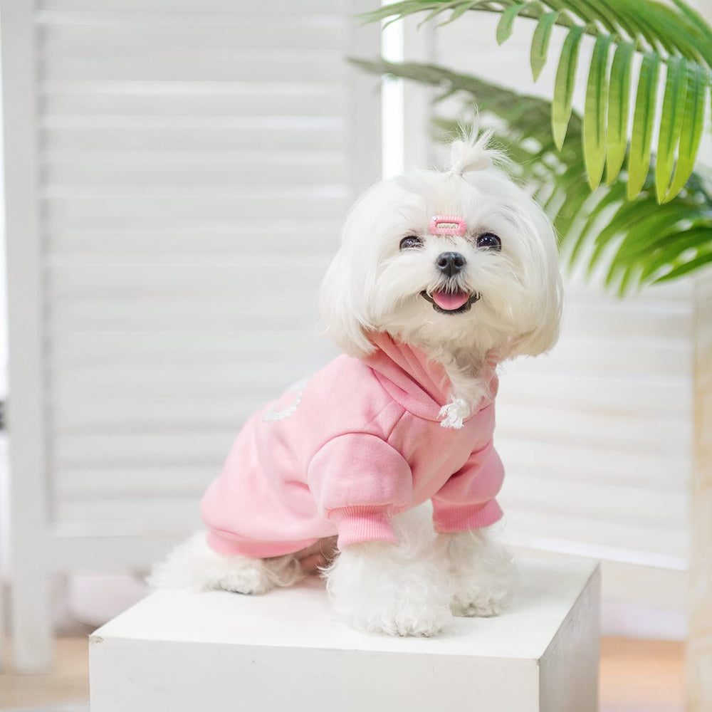 EXPAWLORER Princesa Sudadera para Perros y Gatos: impresión de corona en la espalda para estilo destacado.
