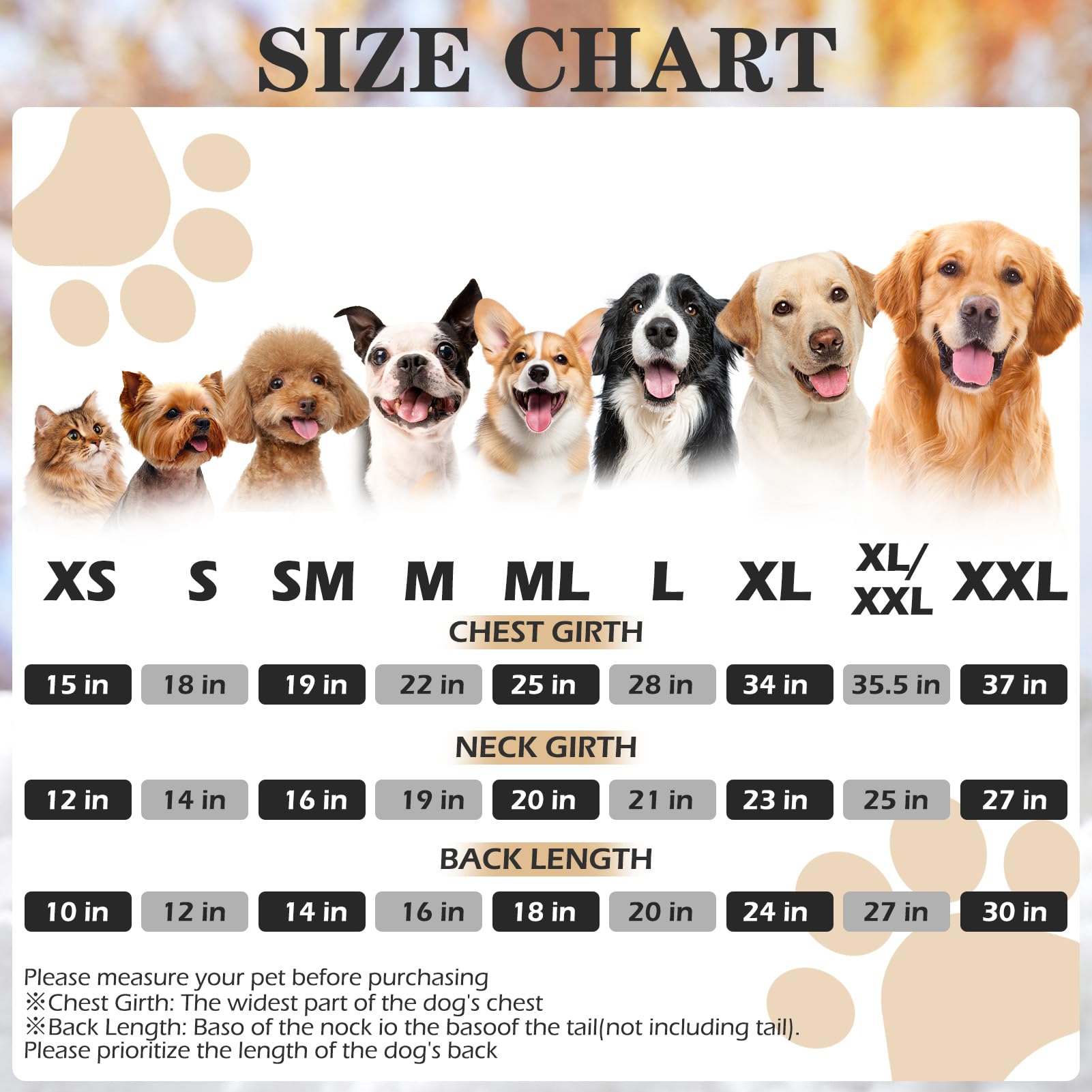 EXPAWLORER Princesa Sudadera para Perros y Gatos: vista posterior con corona para estilo distintivo.
